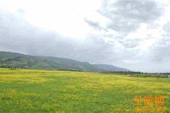 我的家乡新源,图十