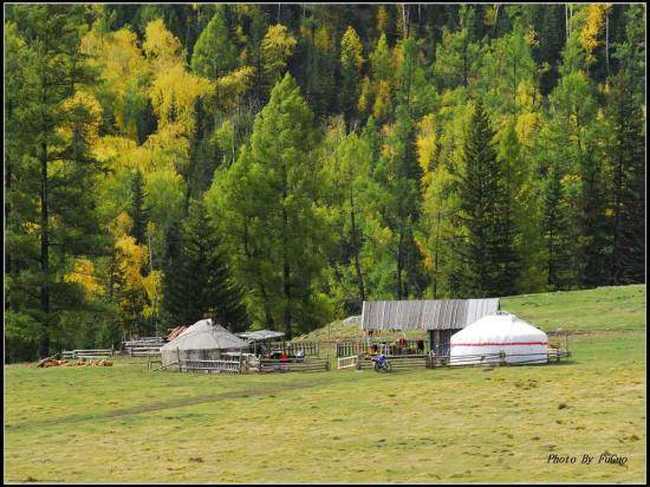 喀纳斯风光组图,图二十二