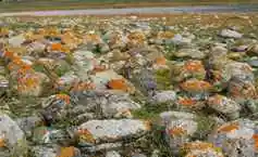 喀纳斯风光组图