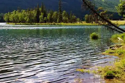 新疆喀纳斯风光