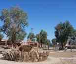 新疆--羅布泊村寨風(fēng)光