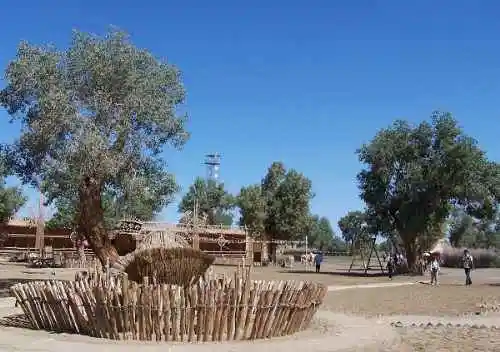 新疆--罗布泊村寨风光