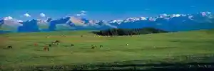 天山天池
