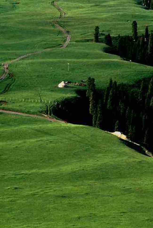 新疆鹿角湾,图六