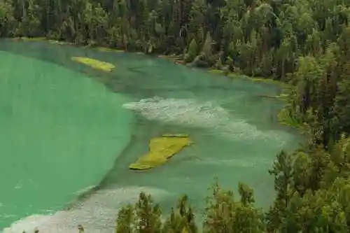 新疆喀纳斯风光