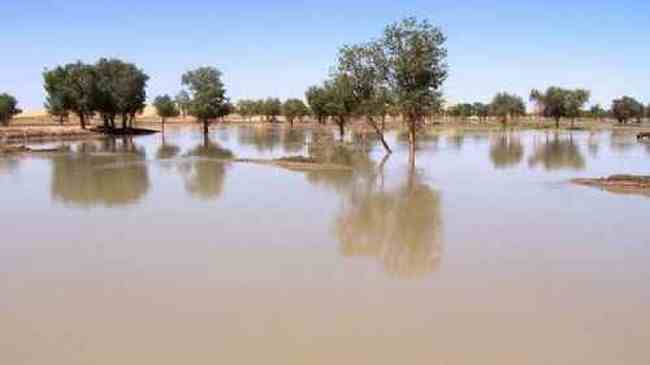 新疆--罗布泊村寨风光,图八