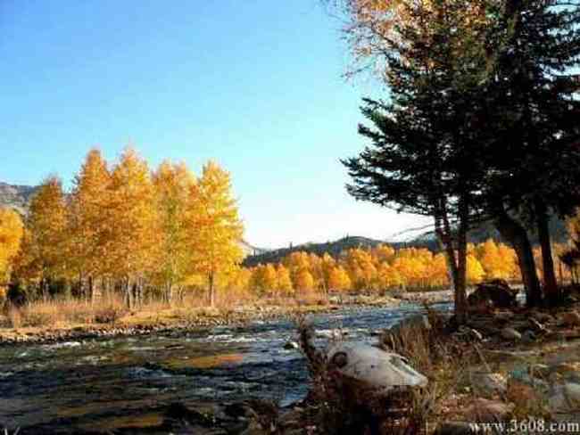 新疆-可可托海,图七