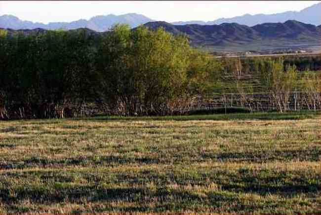 新疆准噶尔古城遗址,图六