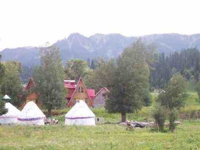 新疆依犁风光,图五