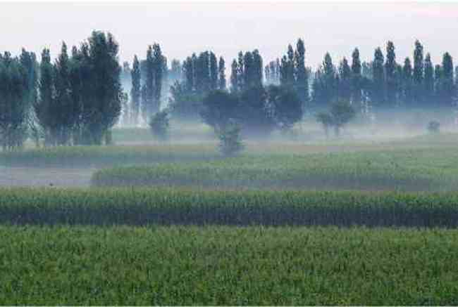 新疆佳信莊園晨曦,圖三