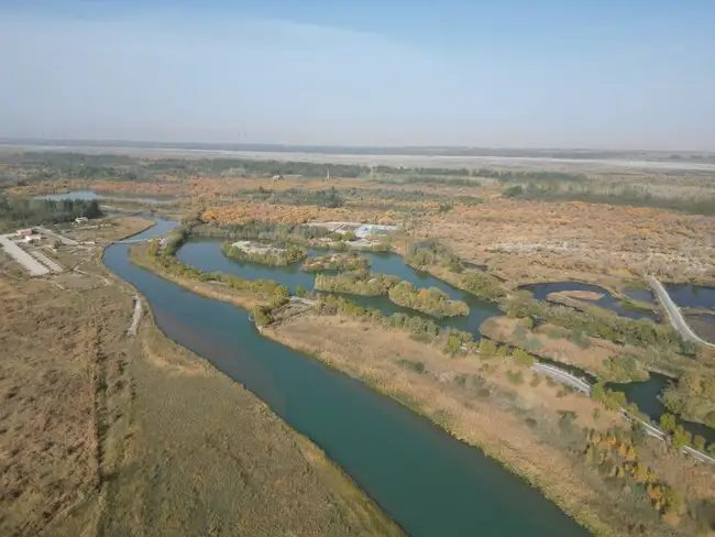 泽普金胡杨公园,图三