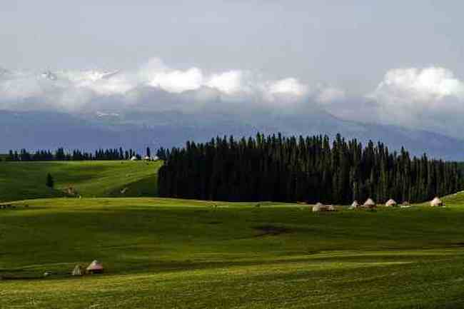 伊犁美景,图十二