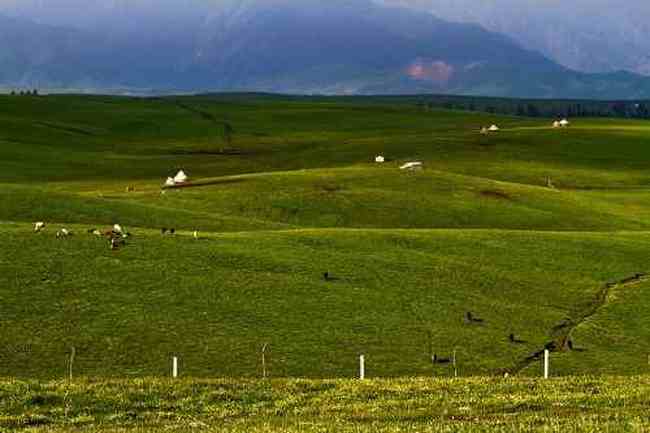 伊犁美景,图十三