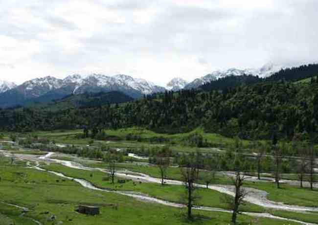 新疆恰西河谷风光,图九