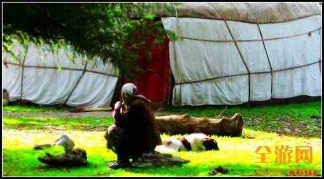 新疆库尔德宁,图七