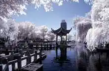 美丽的乌鲁木齐