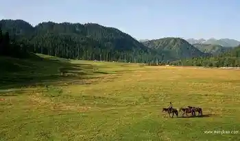 新疆库尔德宁风光,图三