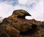 新疆伊犁哈巴河縣風(fēng)光