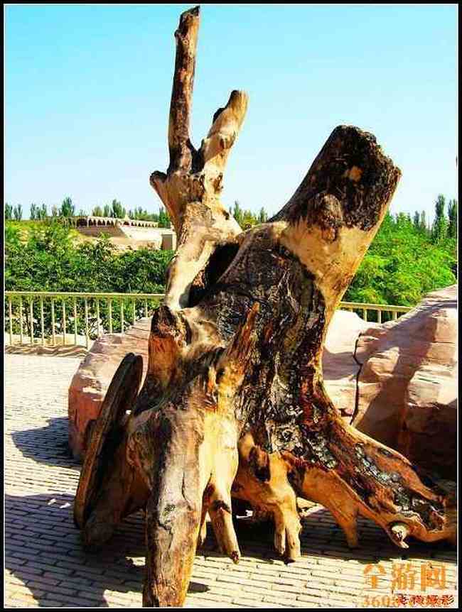 苏公塔与郡王府,图五