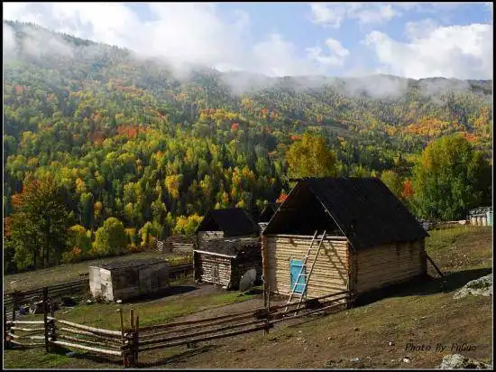 喀纳斯风光组图