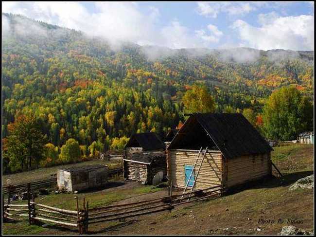 喀纳斯风光组图,图二十三