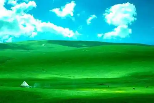 喀拉峻天山深处的翡翠