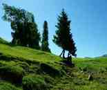 新疆---伊犁那拉提大草原