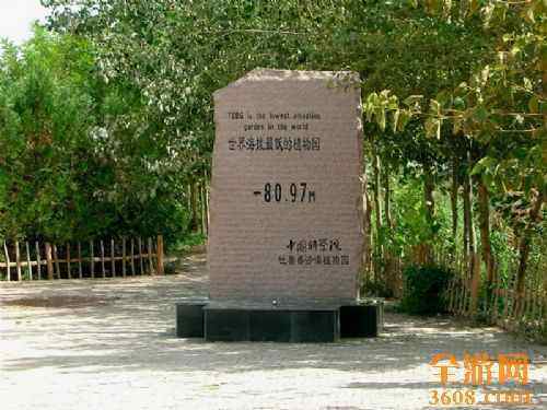 葡萄沟风光,图八