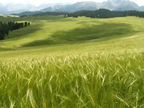 新疆奇台刀条岭风光