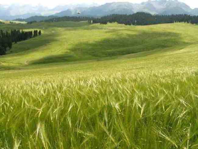 新疆奇台刀条岭风光,图二