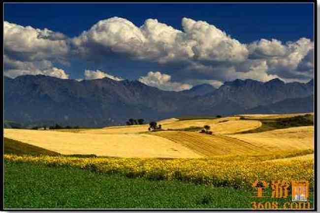 江布拉克摄影的天堂,图三