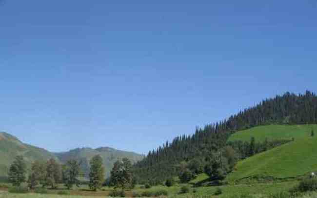 新疆伊犁风光,图三