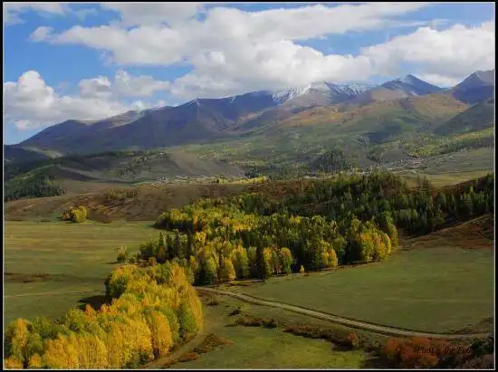 喀纳斯风光组图