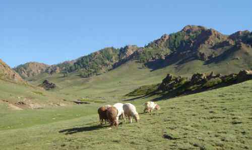 昌吉风光,图三