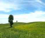 新疆奇臺(tái)刀條嶺風(fēng)光