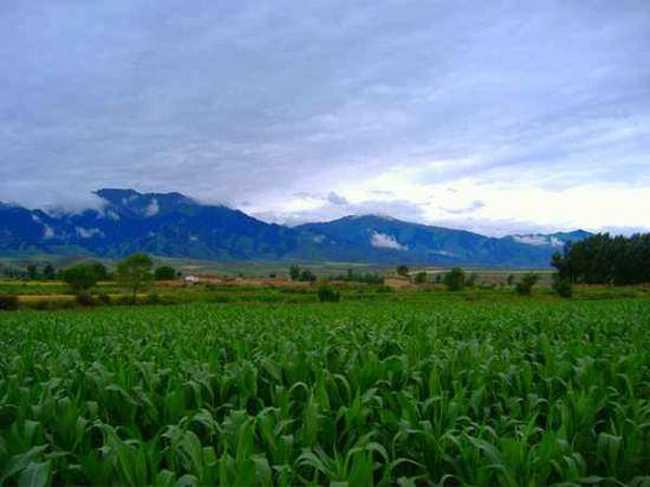 新疆7月的花儿沟组图,图五