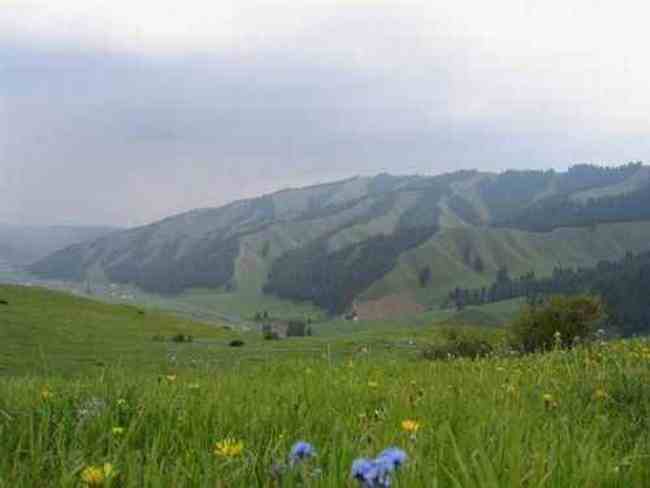 新疆 - 南山牧场,图二