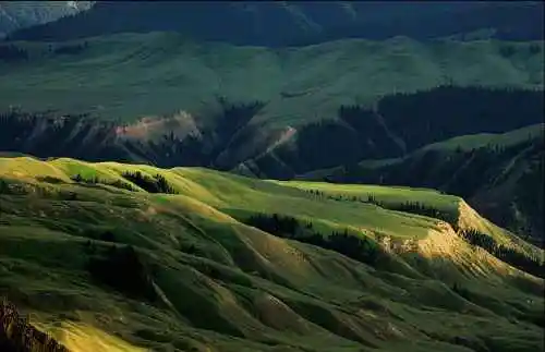 新疆索尔巴斯陶风光