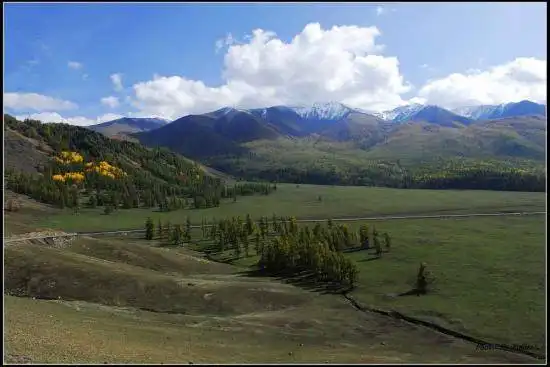 喀纳斯风光组图