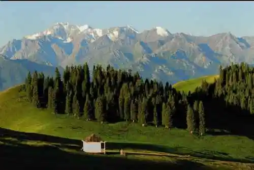 新疆昌吉索尔巴斯陶风光