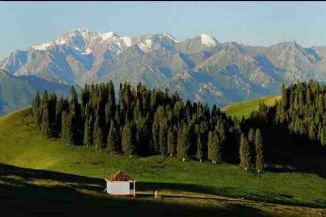 新疆昌吉索尔巴斯陶风光,图四