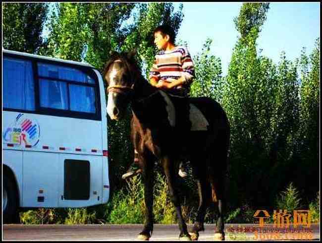 新疆北疆风光,图