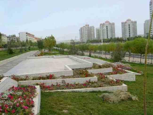 新疆 - 塔克拉玛的另一道风景,图九