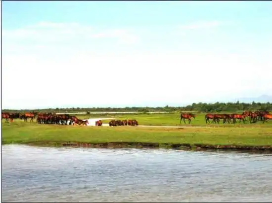 新疆天马之乡伊犁昭苏(组图)