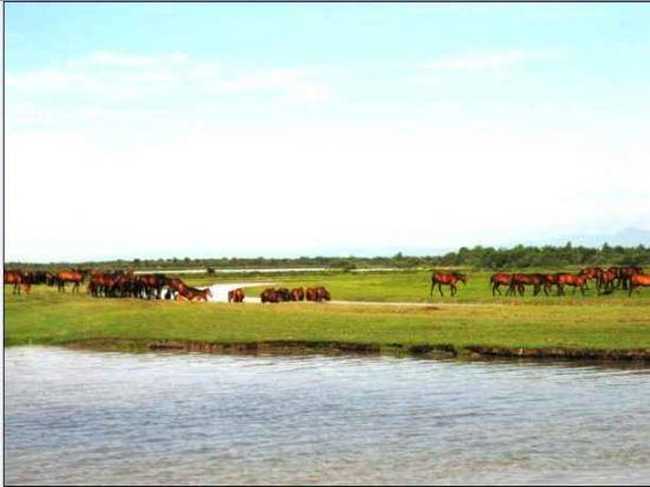 新疆天马之乡伊犁昭苏(组图),图五