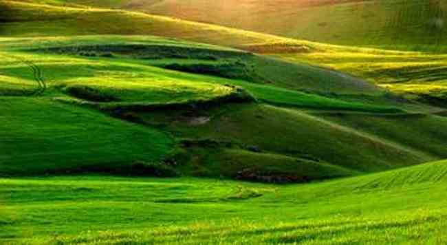 昌吉风光,图十二