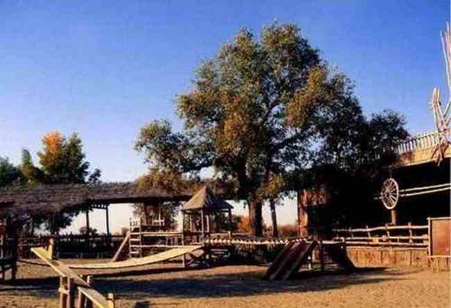 新疆-罗布人村寨,图二