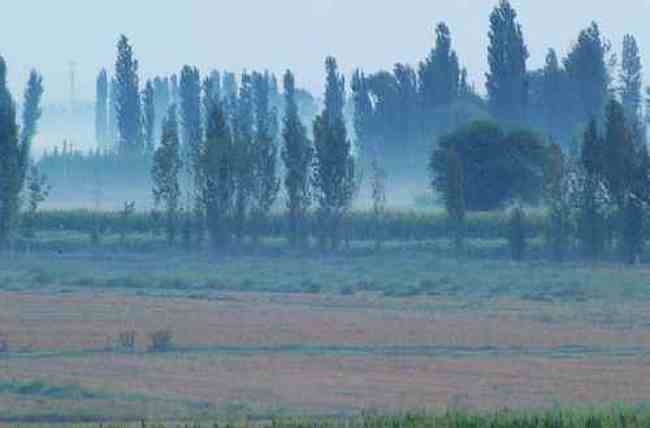 新疆佳信莊園晨曦,圖四