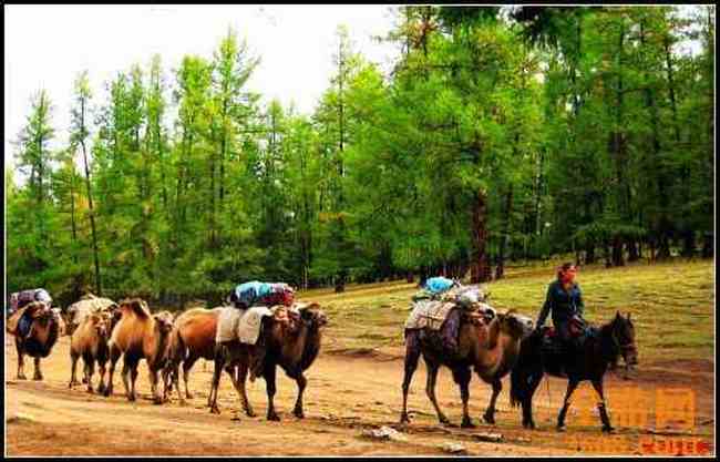 新疆北疆风光,图二十六