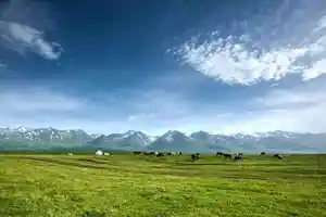 伊犁美景